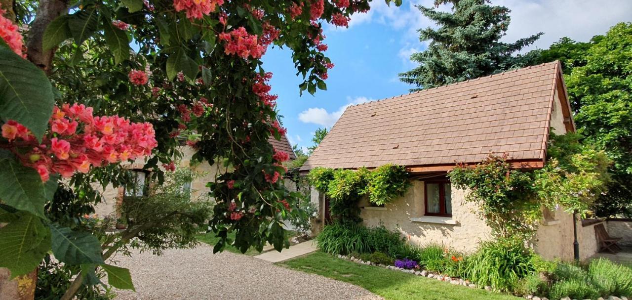 Apartamento Domaine Des Medards Beaulieu-sur-Loire Exterior foto